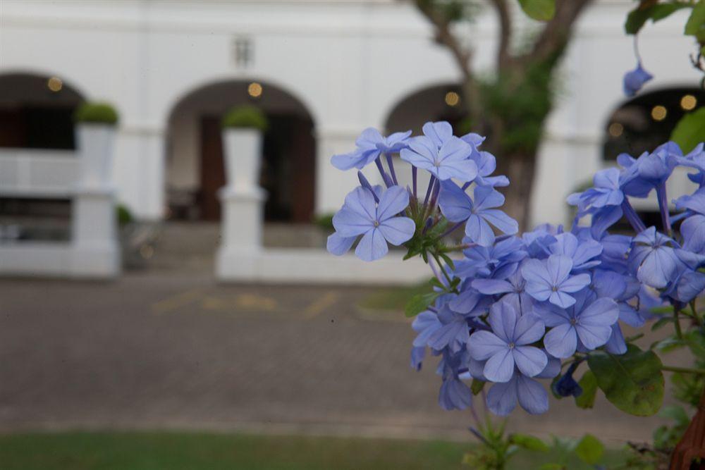 Hotel Tamarind Hill Galle Esterno foto